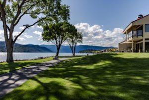 Sunny lakeside scene with tree shadows sprawling across the grass